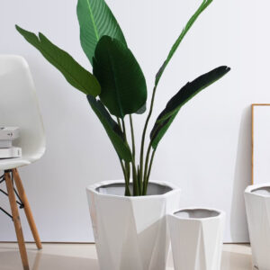 Small Ceramic Pots