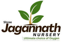 ShreeJagannath Nursery