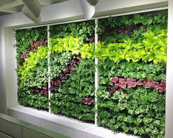 Vertical Garden