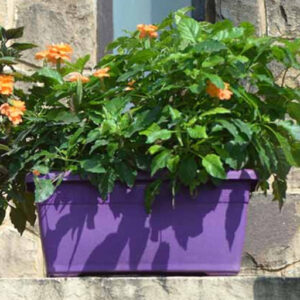 Large Ceramic Pots