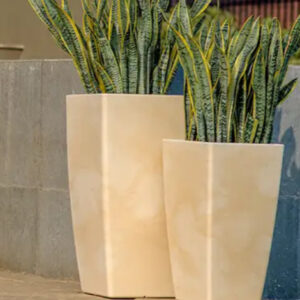 Large Ceramic Pots