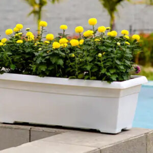 Large Ceramic Pots